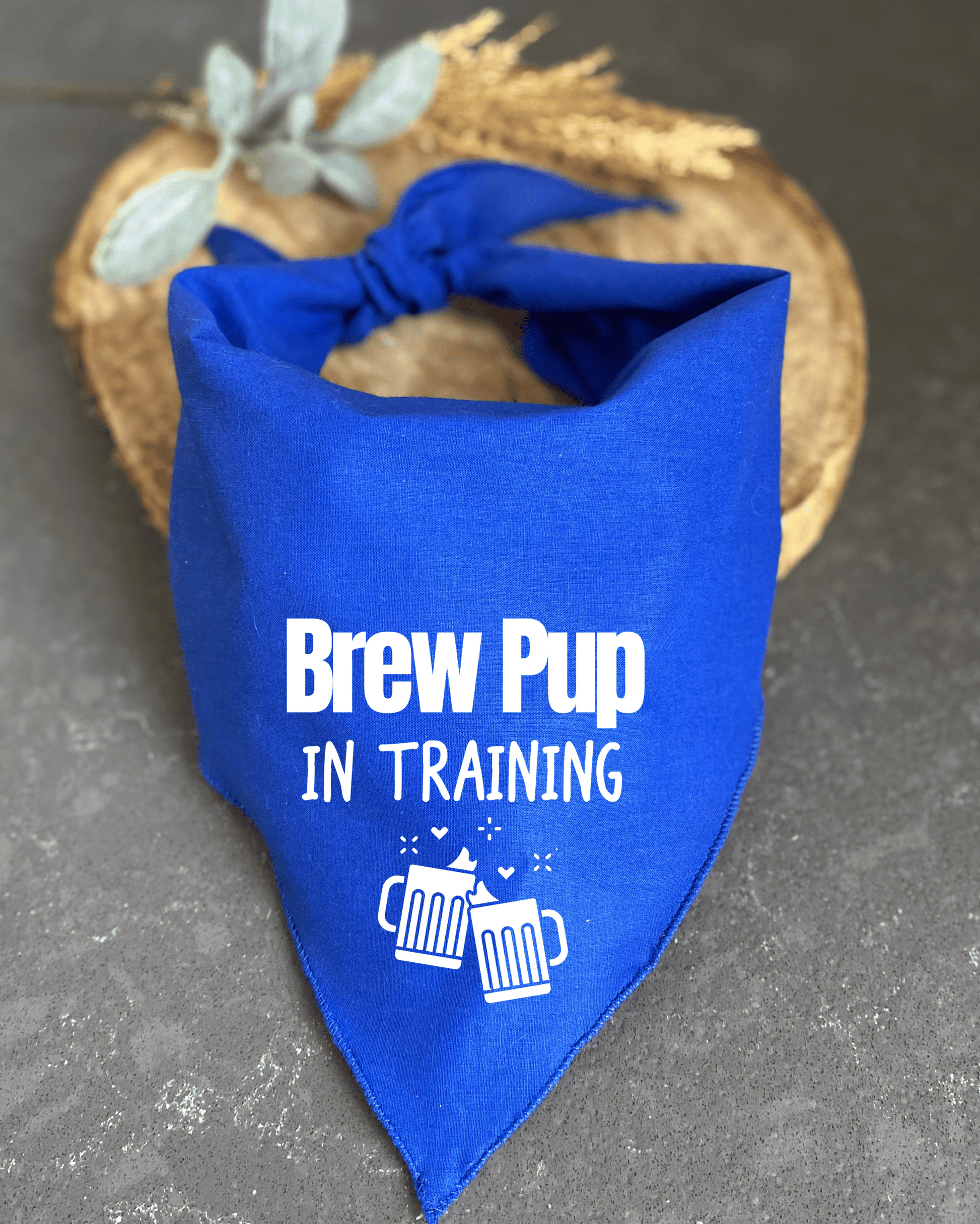 Brew Pup In Training Dog Bandana – Craft Beer Pet Gear